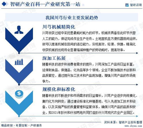 中國川芎行業(yè)發(fā)展驅動因素與市場運行格局分析報告
